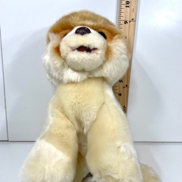 GUND Boo The World’s Cutest Dog Pomeranian Plush - Picture 9 of 13